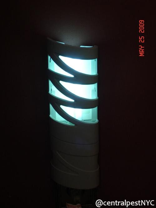 Close up image of a lamp with some lights
