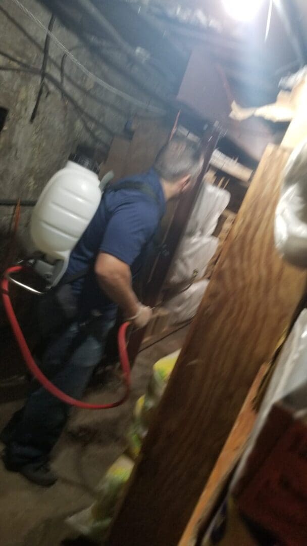 A person with a plastic kit of pest extermination on the basement