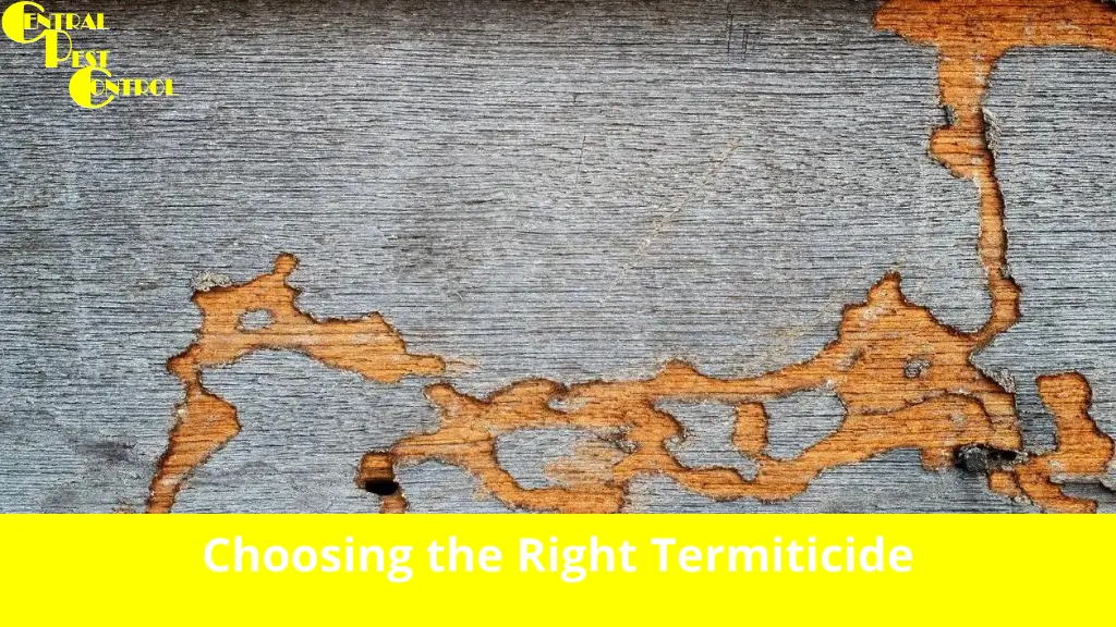Choosing the Right Termiticide